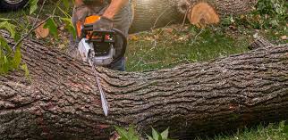 Best Weed Control  in Claude, TX