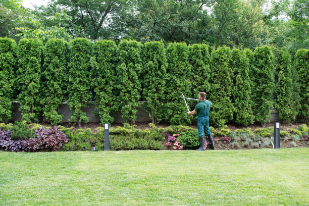 Best Lawn Pest Prevention  in Claude, TX